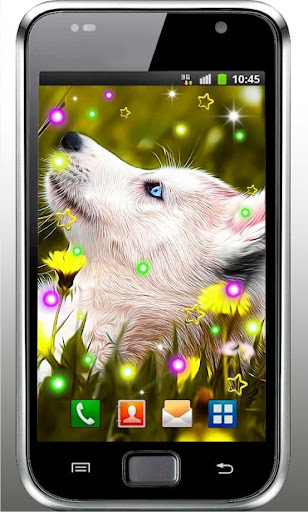 Dogs Lovely live wallpaper