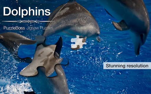 Dolphin Jigsaw Puzzles Demo