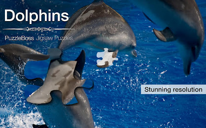 Dolphin Jigsaw Puzzles Demo poster 1