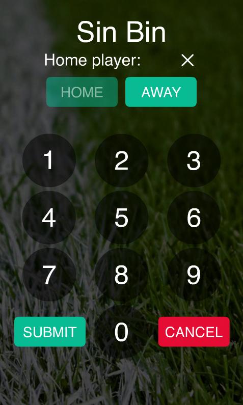 Rugby Referee Screen 3