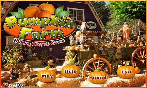 Pumpkin Farm - Hidden Objects