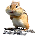 Funny Hamster Widget logo