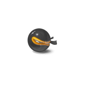 Your ninja name 1.1