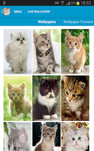 Cute Kittens Wallpapers Screenshots 1