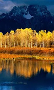 How to install Nature Live Wallpapers lastet apk for pc