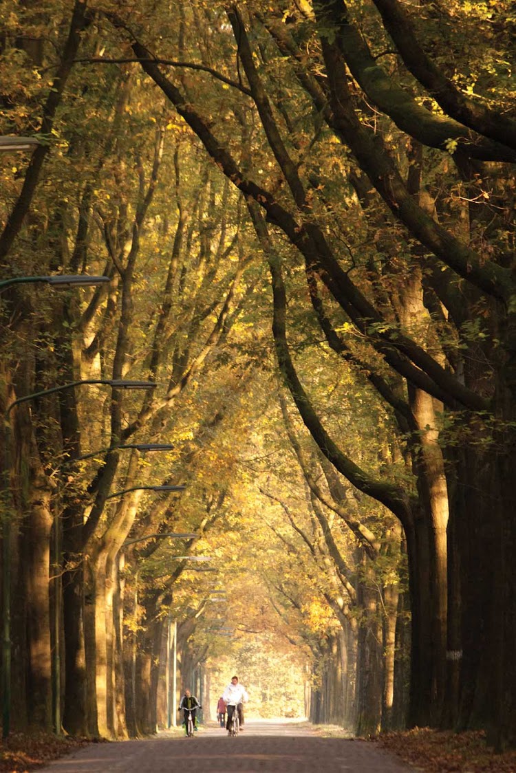 Autumn in the Netherlands.