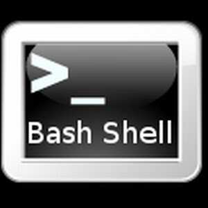 BASH Programming 1.0