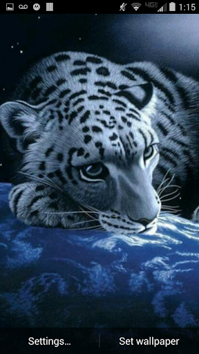 Leopard Cat Live Wallpaper