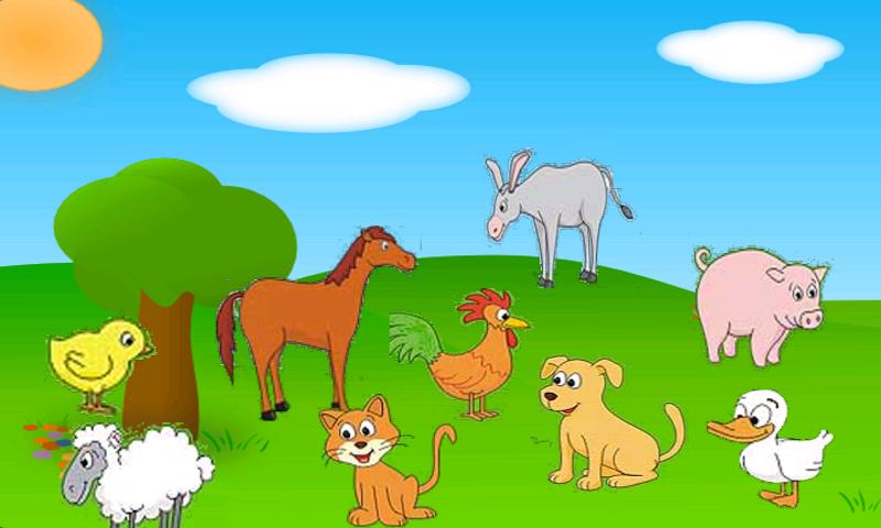 Fotos animales para niños - Imagui