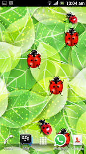 How to download Ladybug Free Live Wallpaper lastet apk for bluestacks