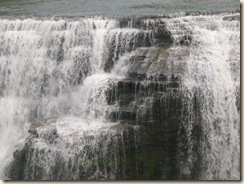 DSCN2135