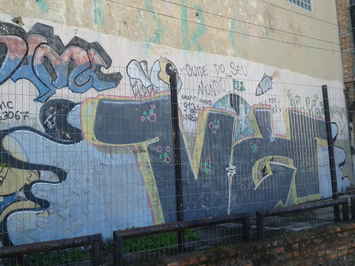 Graffite Cuide Do Seu Mundo