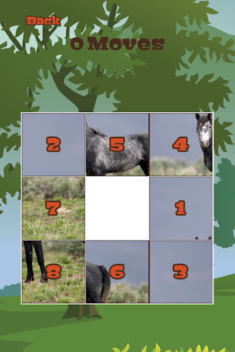 My Horse Puzzles
