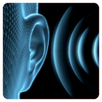 Ear Training Basic Apk