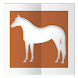 All About Horses