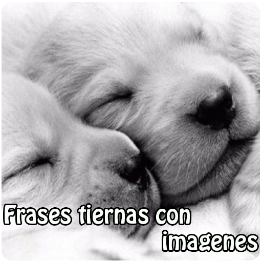 Frases tiernas con imagenes 娛樂 App LOGO-APP開箱王