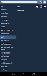 English Croatian dictionary poster 9