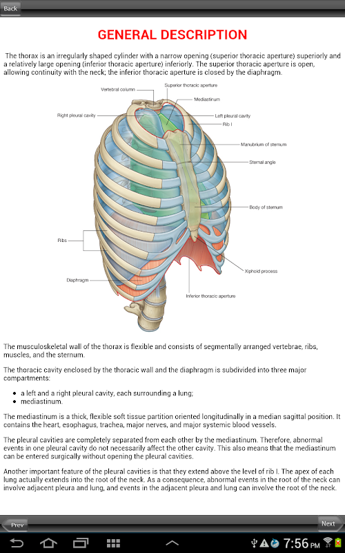 Android application Grays Back and Thorax screenshort