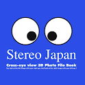 3D Stereo Japan logo