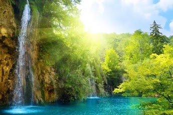 Download 3d Forest Live Wallpaper Hd Google Play Softwares