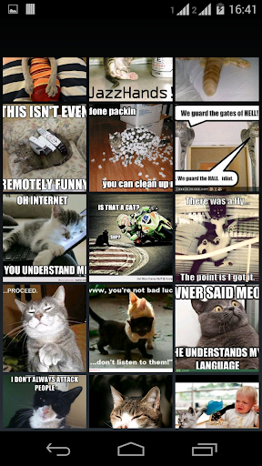 meme FUNNY CAT