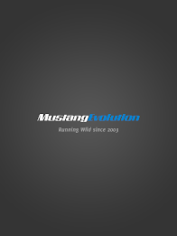 Mustang Evolution poster 3