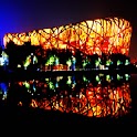 3D bird's nest