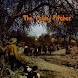 The Young Pitcher