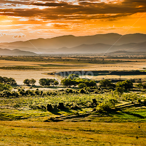 Morning by MIhail Syarov - Landscapes Prairies, Meadows & Fields