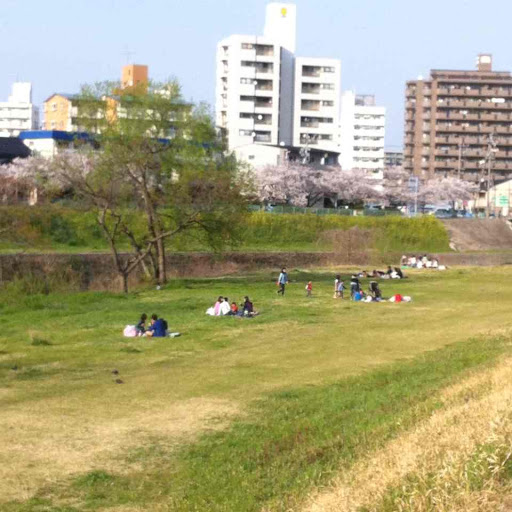 天白川 ハローフーズ天白店