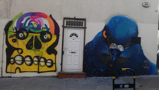 Bird & Skull Graffiti 
