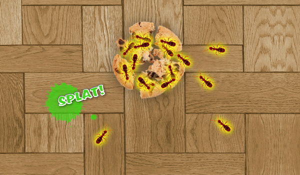 Toddler ANTS Screen 2