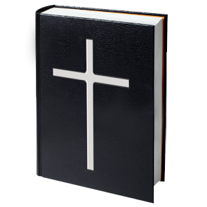 Holy Bible New Testament (cn).apk 1.0.1