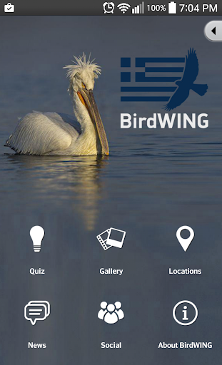 免費下載娛樂APP|BirdWING app開箱文|APP開箱王