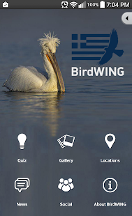 Free BirdWING APK for Android