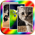 Wallpapers and pictures HD logo