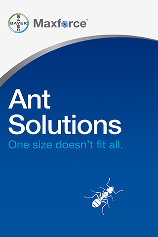 Bayer Maxforce Ant Solutions