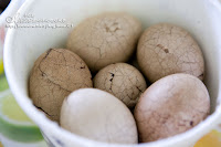 宜蘭將軍茶葉蛋