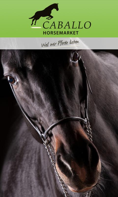 Android application Caballo Horse Market screenshort