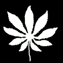 Weed Scale