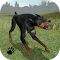 astuce Dog Survival Simulator jeux