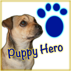 Puppy Hero: Pug in Puppy Land.apk 1.3