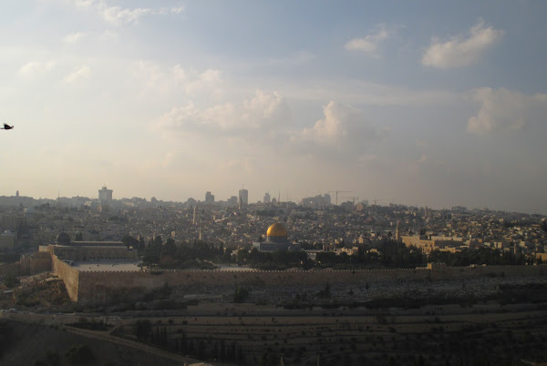 Temple Mount from Mt. of Olives