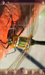 lgCamera - screenshot thumbnail