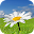 Family Connect Project (FCP) Download on Windows