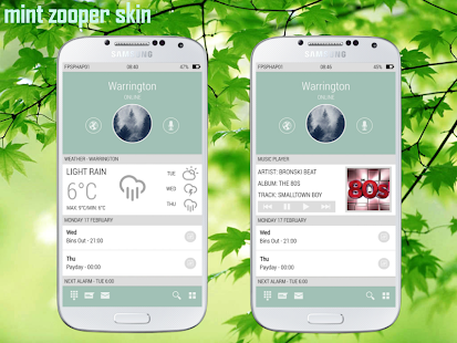 Lastest Mint - Zooper Widget APK for Android