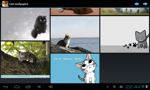 【免費個人化App】Cats wallpapers-APP點子