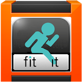 FitIt Pebble Pro for FitBit®