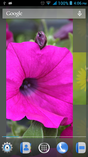 免費下載娛樂APP|Flowers Live Wallpaper app開箱文|APP開箱王