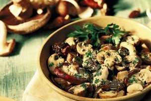 Wild Mushroom Ragout